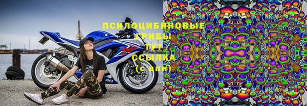 ГАЛЛЮЦИНОГЕННЫЕ ГРИБЫ Арсеньев