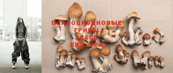 спайс Баксан