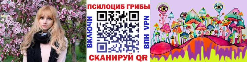 Псилоцибиновые грибы прущие грибы  Губкин 