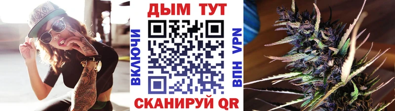 Канабис конопля  сколько стоит  Губкин 